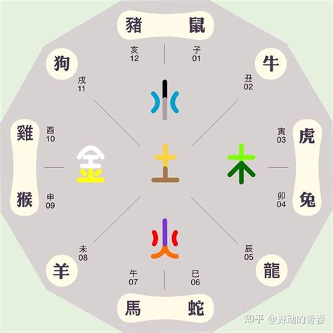 动物五行|如何区分动物的五行属性？